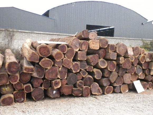 红木原材料木头